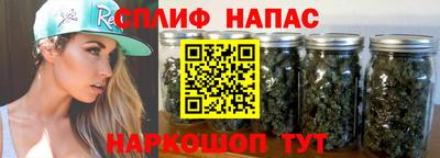 амф Гусев