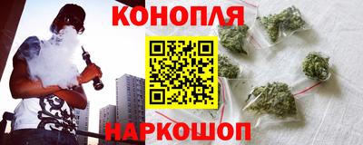 амф Гусев