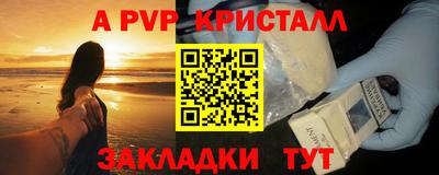 амф Гусев