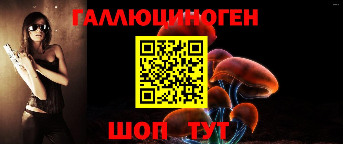 Псилоцибиновые грибы Cubensis Звенигород